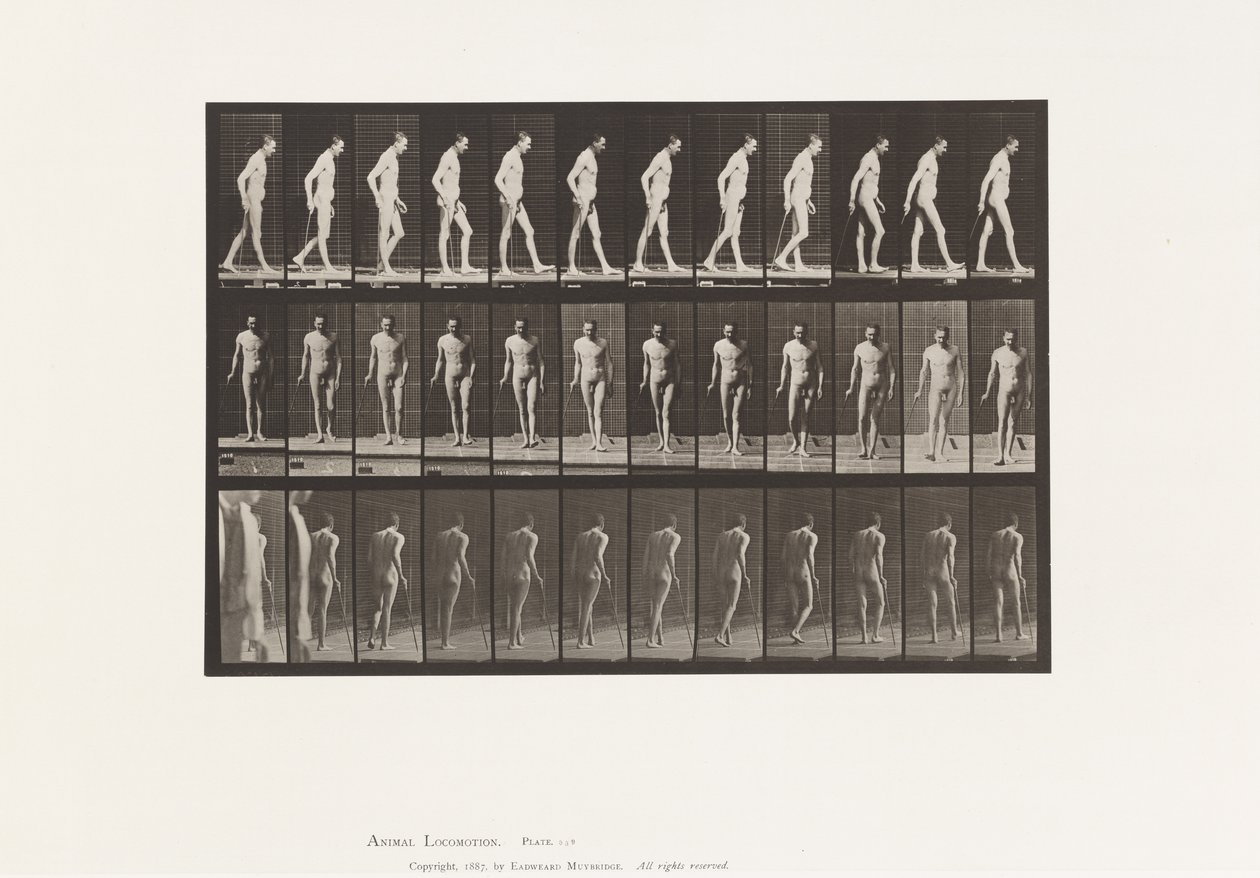 Plaka 559. Dissemine Skleroz; Bastonla Yürümek by Eadweard Muybridge