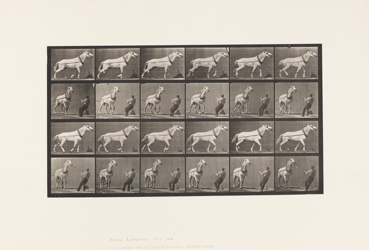 Plaka 573. Çekme; Kafasını Çeken Adam; Açık Gri Kısrak, 1885 by Eadweard Muybridge