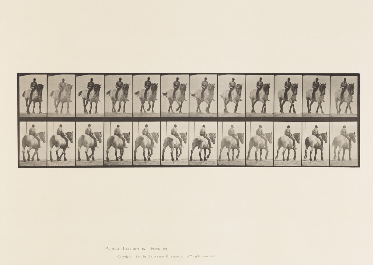 Plaka 578. Yürüyüş; Çıplak Sırt; Koyu Gri Belçika Atı Dusel by Eadweard Muybridge