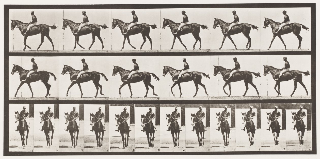 Plaka 580. Yürüyüş; Sele; Safkan Bay Mare Annie G., 1885 by Eadweard Muybridge