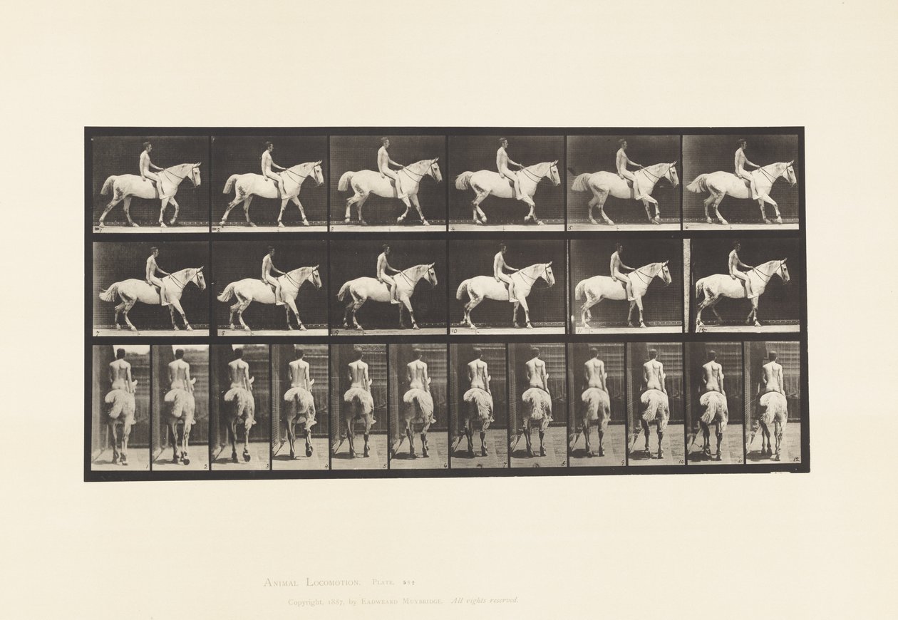 Plaka 582. Yürüyüş; Eyer; Binici, 43, Çıplak; Açık Gri At Smith by Eadweard Muybridge