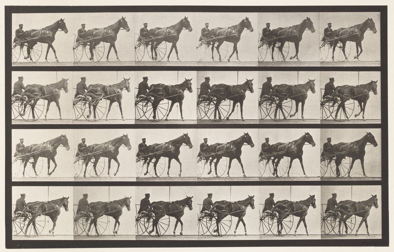 Plaka 587. Yürüyüş; somurtkan; Kuzukulağı Mare Nellie Gül, 1885 by Eadweard Muybridge