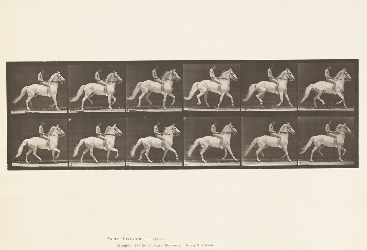 Plaka 590. Taşıma by Eadweard Muybridge