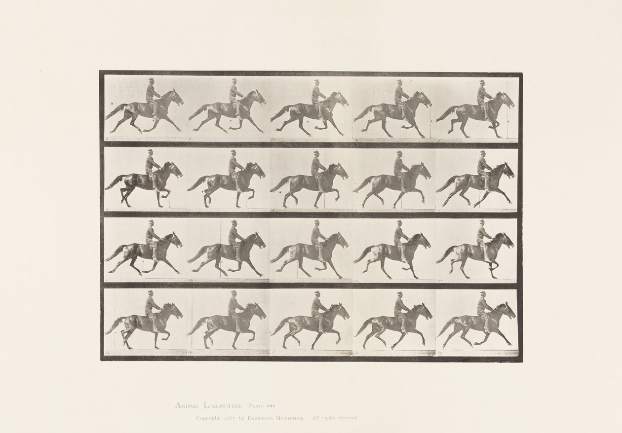 Plaka 591. Sallanan by Eadweard Muybridge