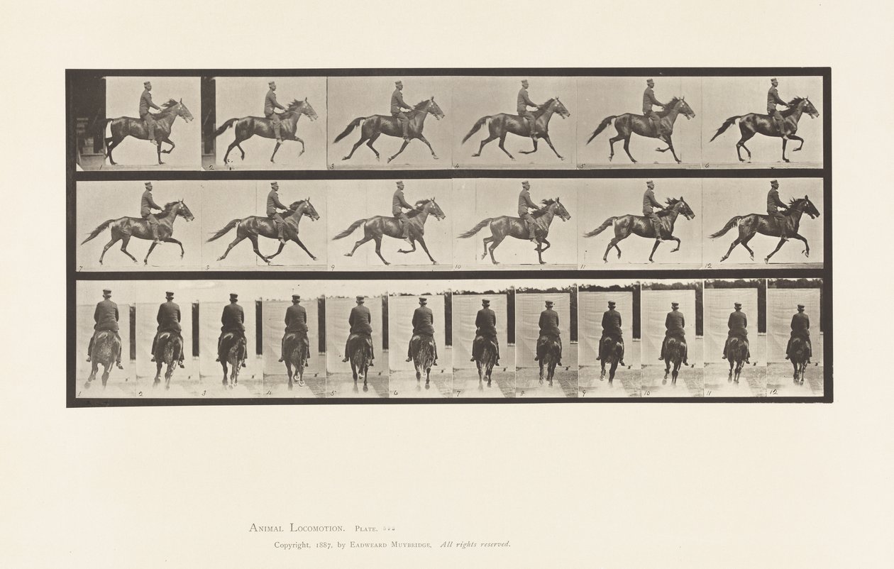 Plaka 592. Sallanma (Pacing): Eyer; Kahverengi At Pronto by Eadweard Muybridge