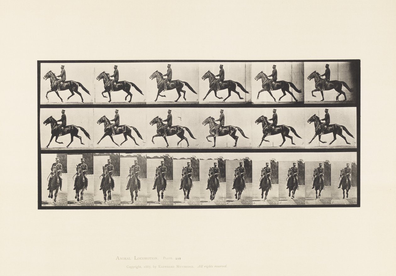 Plaka 593. Sallanma (Pacing): Eyer; Kahverengi At Pronto by Eadweard Muybridge