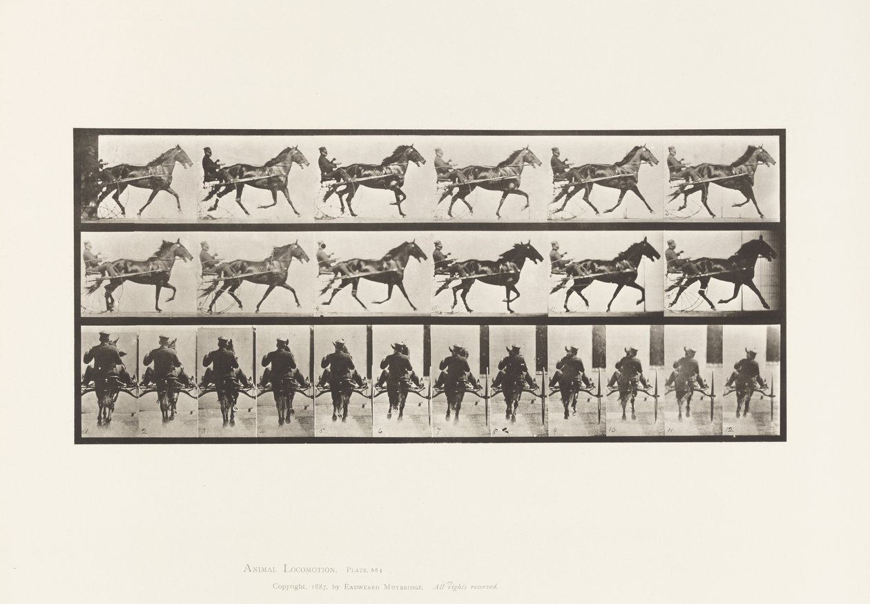 Plaka 594. Sallanma (Pacing): Somurtkan; Kahverengi At Pronto by Eadweard Muybridge