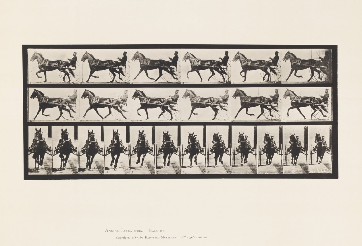 Plaka 595. Sallanma (Pacing): Somurtkan; Kahverengi At Pronto by Eadweard Muybridge