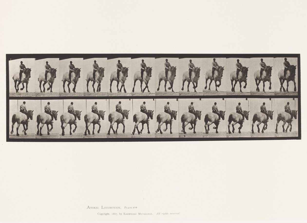 Plaka 599. Paça; Eyersiz; Koyu Gri Dusel by Eadweard Muybridge