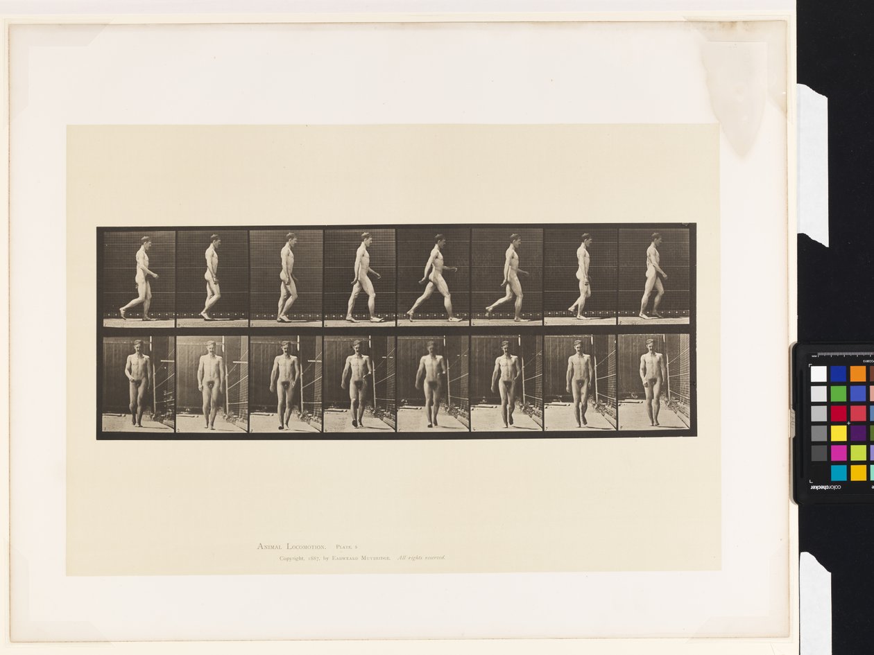 Plaka 5.Yürüyüş by Eadweard Muybridge