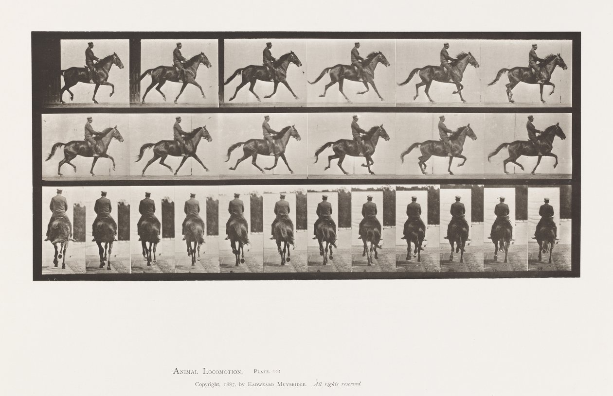 Plaka 601. Paça; Sele; kahverengi kısrak güzelliği by Eadweard Muybridge