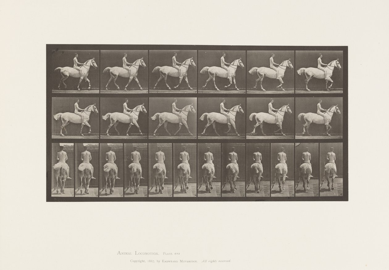 Plaka 602.Tırçalama;Korumasız; Binici,43,Çıplak;Açık Gri Horse Smith, 1885 by Eadweard Muybridge