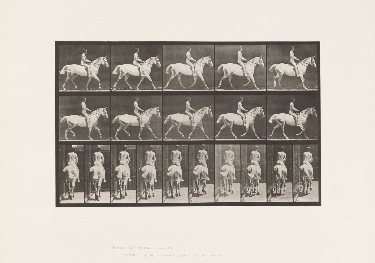 Plaka 603. Paça; Sele; Ride, 43, Geniş, Açık Gri Horse Smith by Eadweard Muybridge