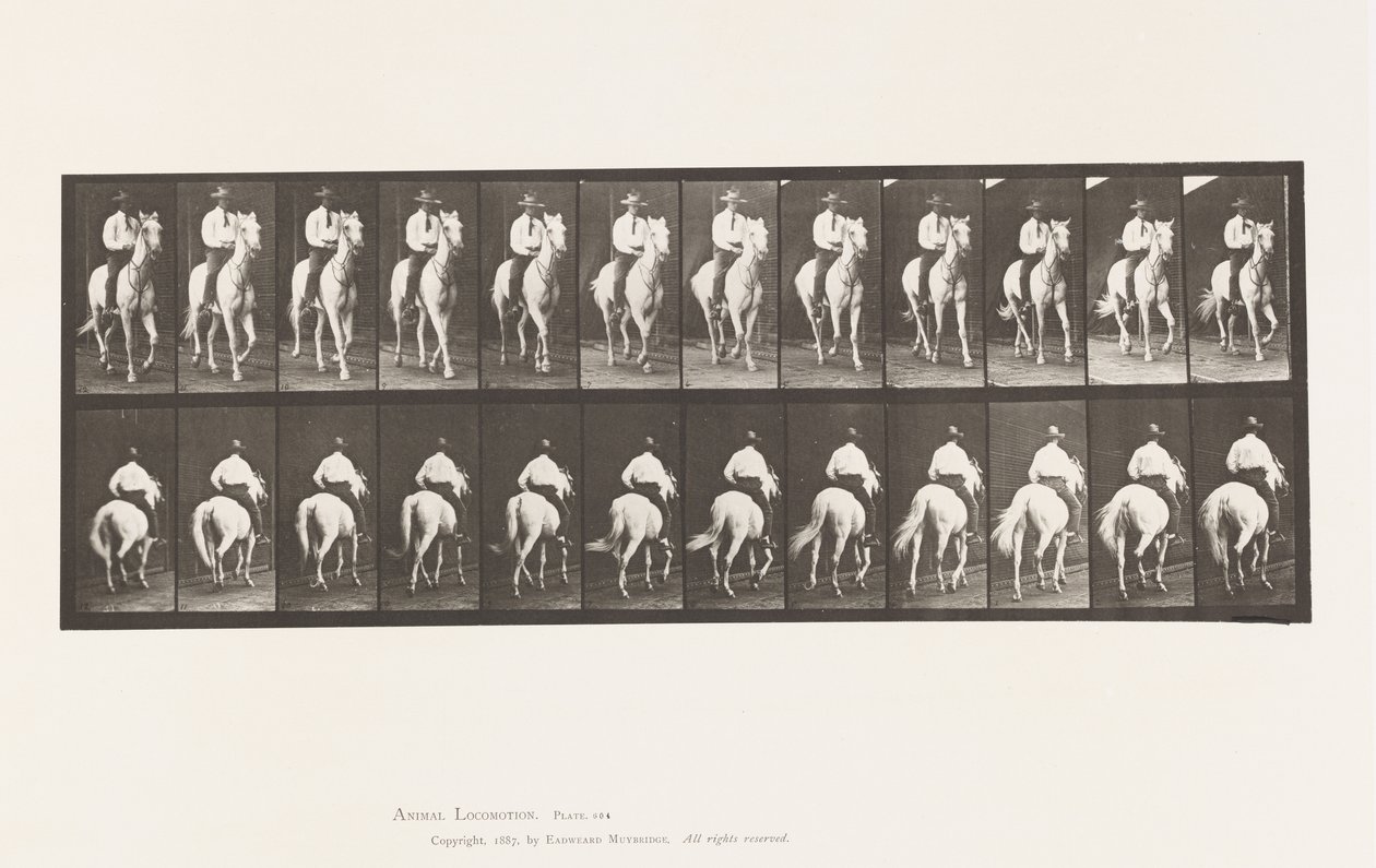 Plaka 604. Paça; Sele; Beyaz At, Elberon by Eadweard Muybridge