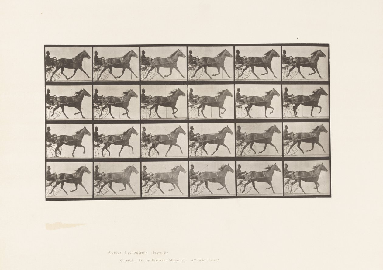 Plaka 607. Paça; somurtkan; Bay Mare, Lizzie M. by Eadweard Muybridge