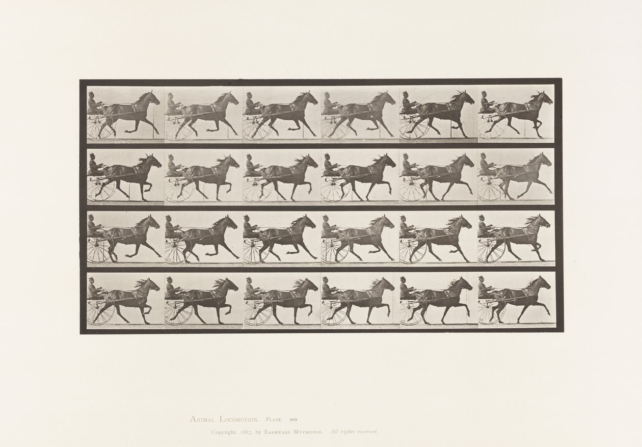 Plaka 609. Paça; somurtkan; Bay Mare, Lizzie M. by Eadweard Muybridge
