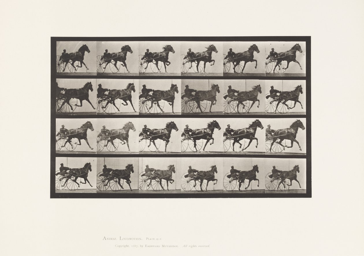 Plaka 613. Paça; somurtkan; Kuzukulağı Kısrak Nellie Gül by Eadweard Muybridge