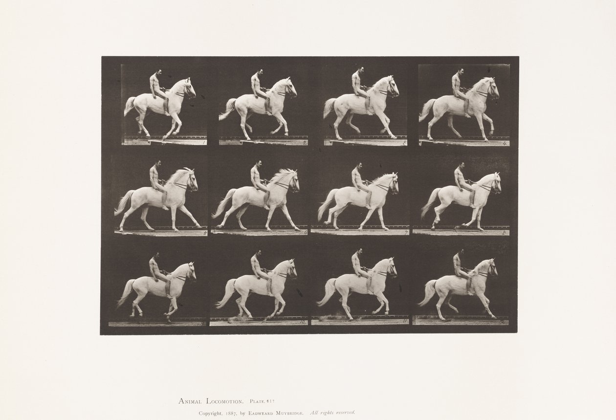 Plaka 617. Canter; Eyersiz; Binici, 106, Çıplak;Beyaz At Clinton, 1885 by Eadweard Muybridge