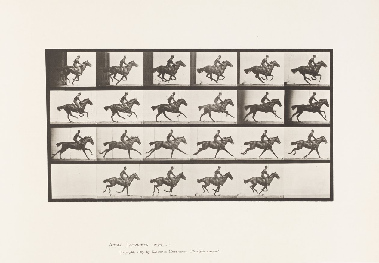 Plaka 625. Dörtnala; Safkan Bay Atı Buketi by Eadweard Muybridge