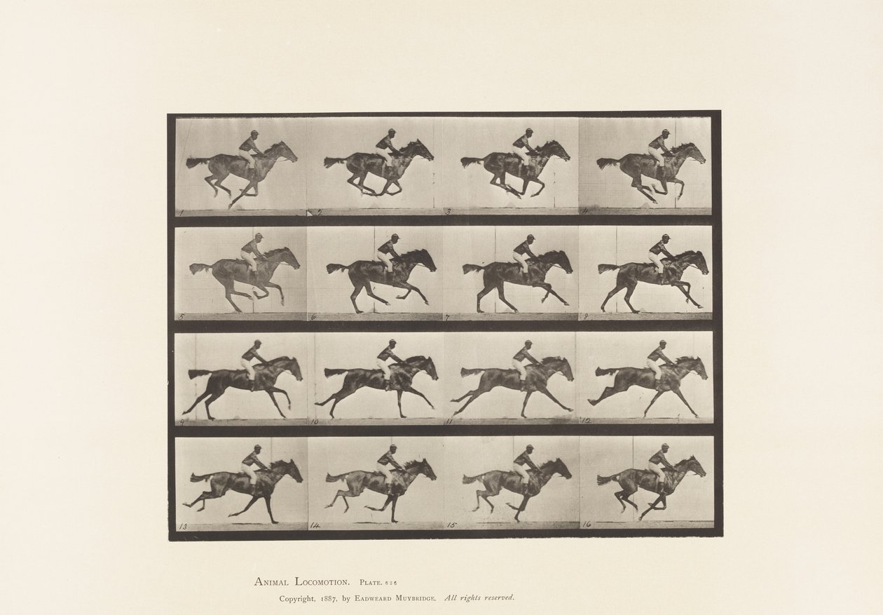 Plaka 626. Dörtnala; Safkan Bay Mare Annie G. by Eadweard Muybridge