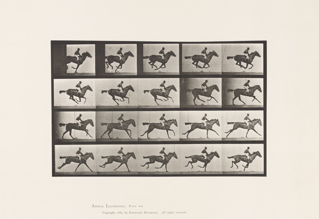 Plaka 627. Dörtnala; Safkan Bay Mare Annie G. by Eadweard Muybridge