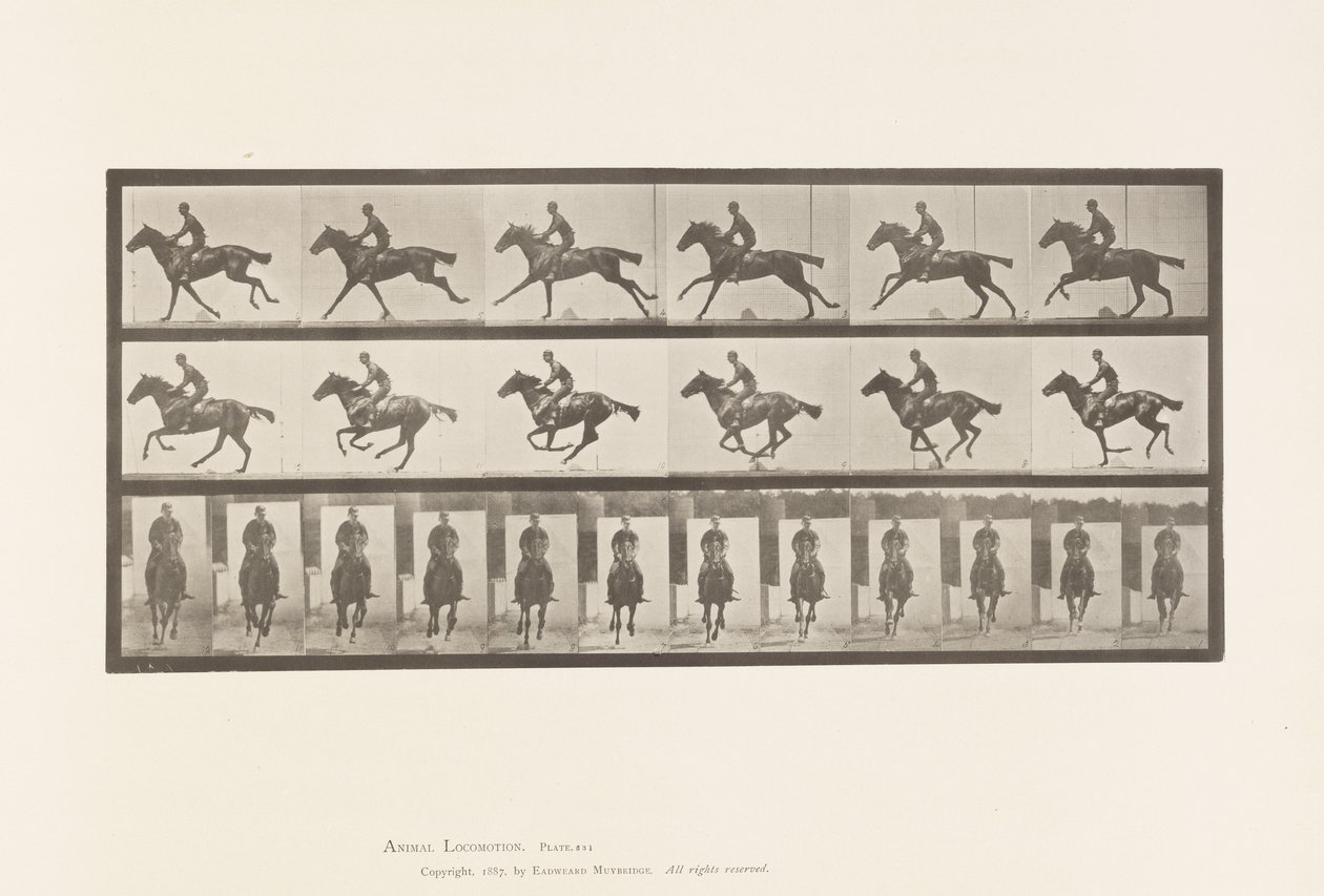 Plaka 631. Dörtnala; Sele; Safkan Bay Atı Buketi by Eadweard Muybridge