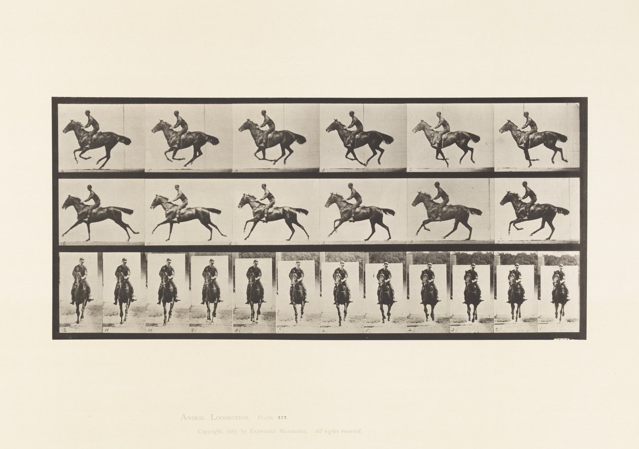 Plaka 632. Dörtnala; Sele; Safkan Bay Atı Buketi by Eadweard Muybridge