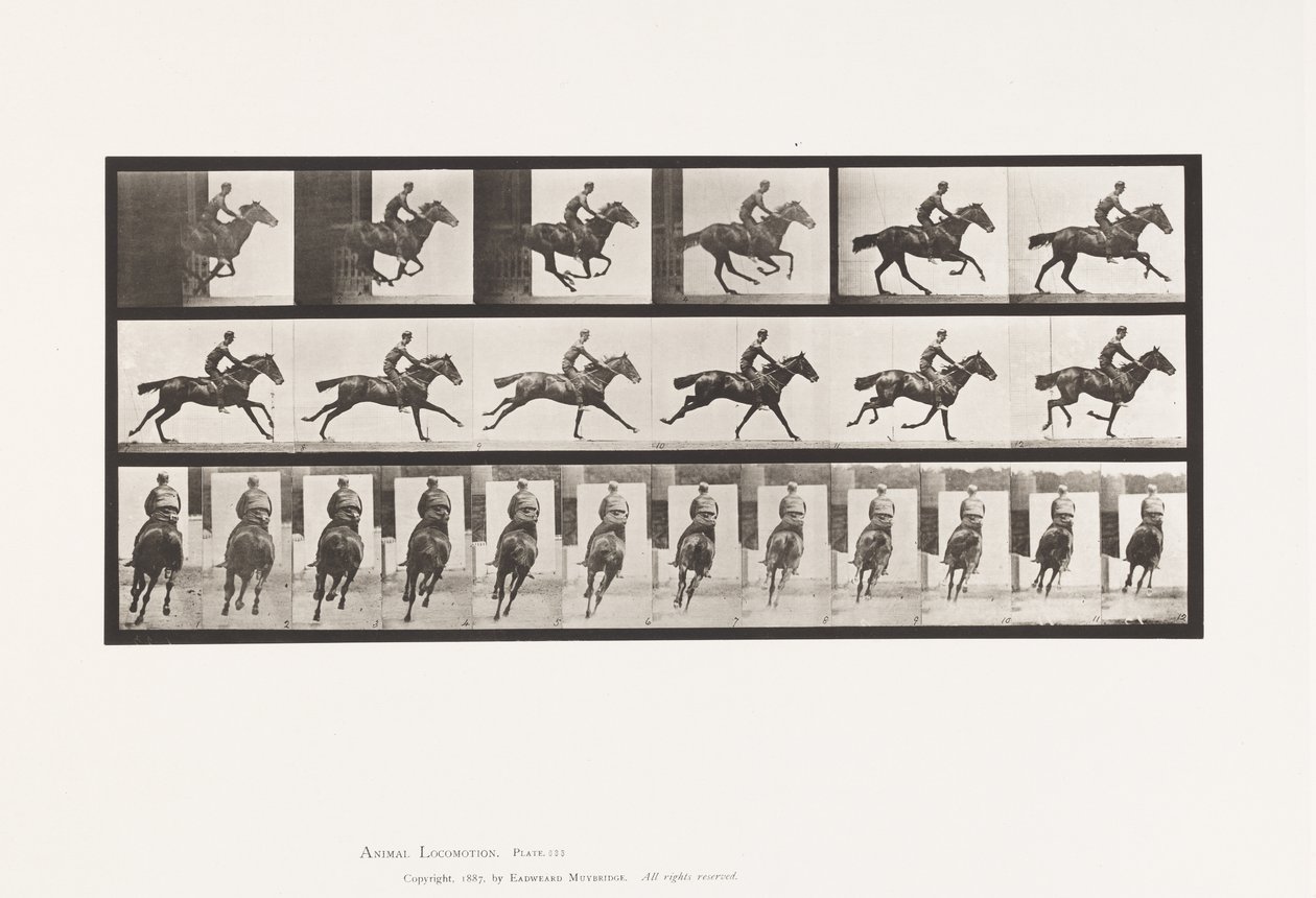 Plaka 633. Dörtnala; Sele; Safkan Bay Atı Buketi by Eadweard Muybridge
