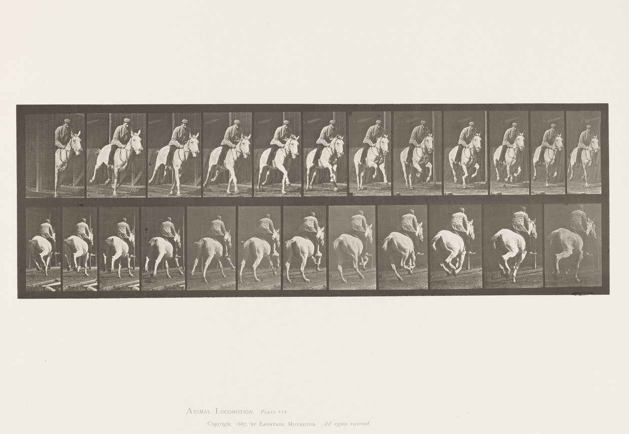 Plaka 635. Dörtnala; Sele; Gri Kısrak, Pandora by Eadweard Muybridge