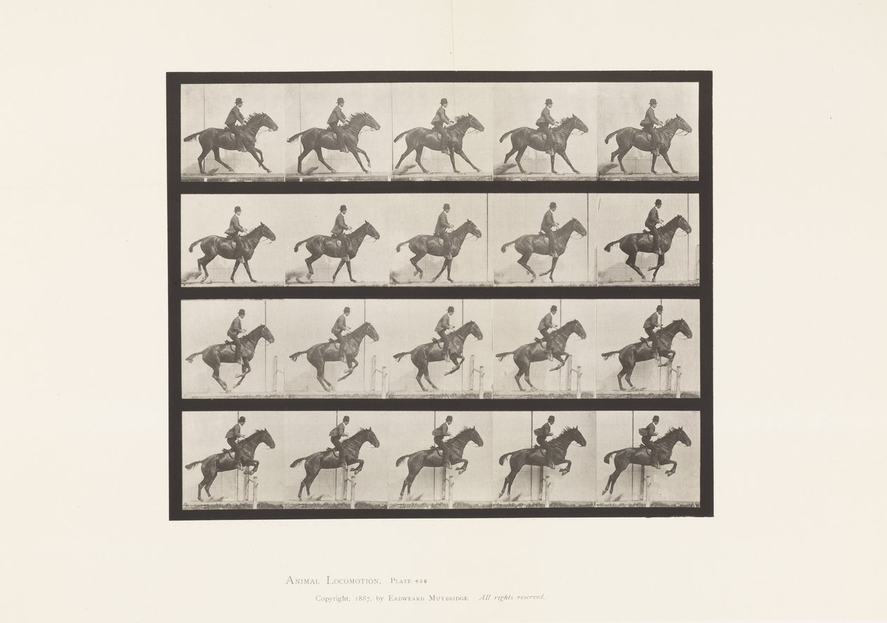 Plaka 636. Engel Atlamak; Sele; Sıçrayış için hazırlanıyor by Eadweard Muybridge
