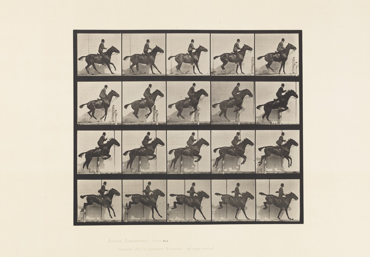 Plaka 638. Engel Atlamak; Sele; Defne Atı Papatya by Eadweard Muybridge