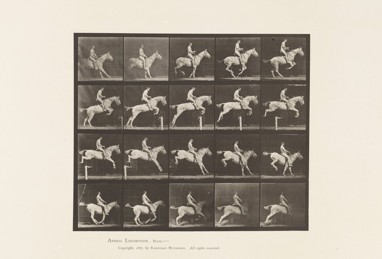 Plaka 642. Engel Atlamak; Sele; Binici, 105, Çıplak; Gri Kısrak, 1885 by Eadweard Muybridge