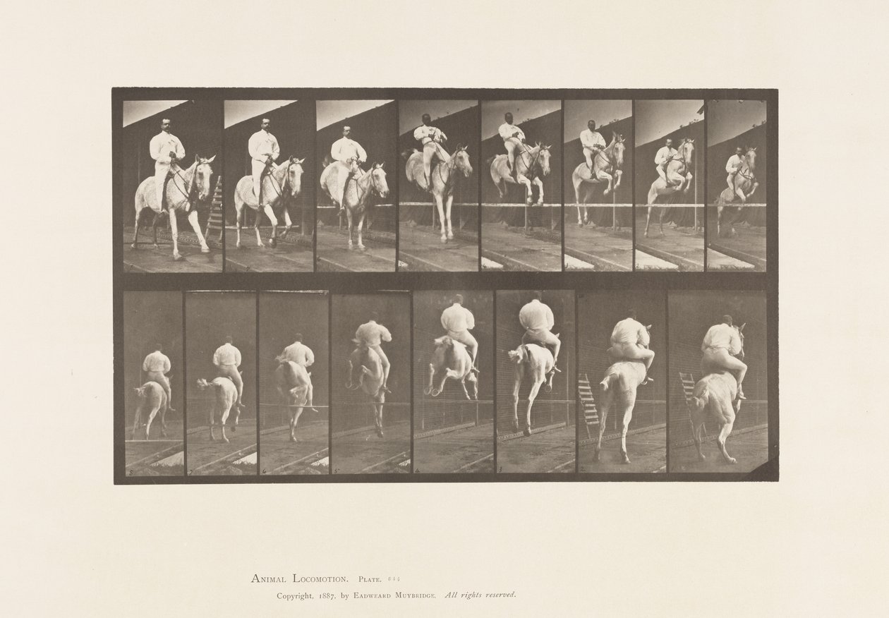 Plaka 644. Engel Atlamak; Sele; Takas ve İniş by Eadweard Muybridge