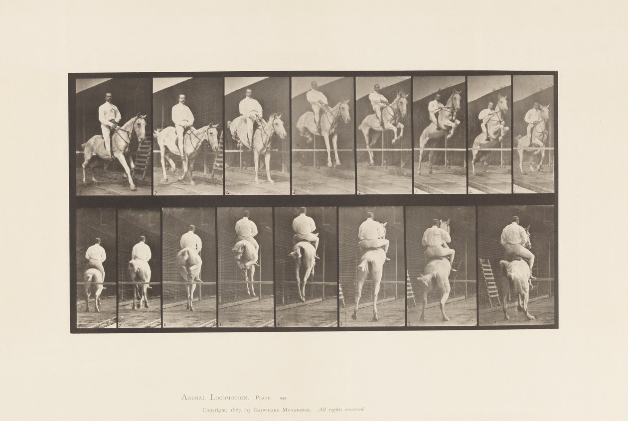 Plaka 645. Bir Engelden Atlamak; Sele; Takas ve İniş by Eadweard Muybridge