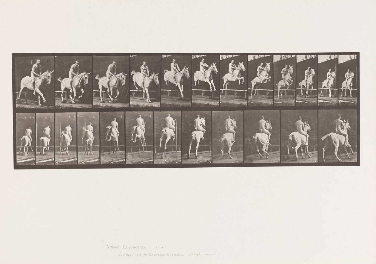 Plaka 647. Engel Atlamak; Eyersiz; Binici by Eadweard Muybridge