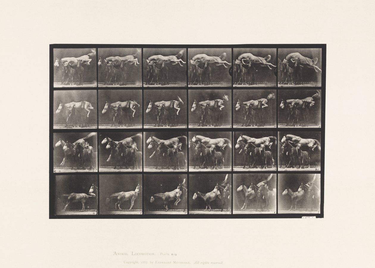 Plaka 648. Üç At Üzerinden Atlamak; A,B; kestane at eşekarısı by Eadweard Muybridge