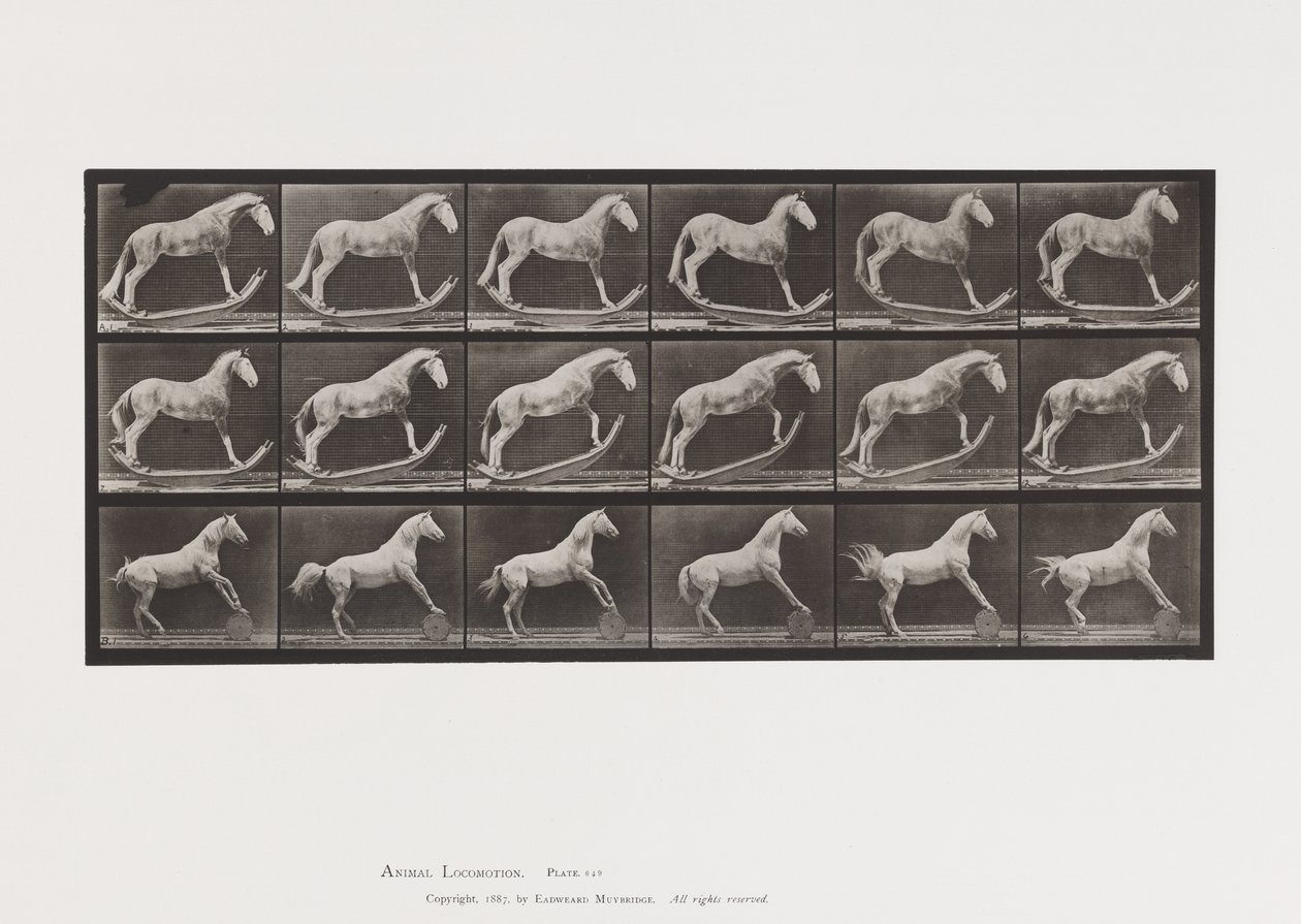 Plaka 649.A, Hornet, Sallanan; B, Kartal, Yuvarlanan Namlu vb. by Eadweard Muybridge