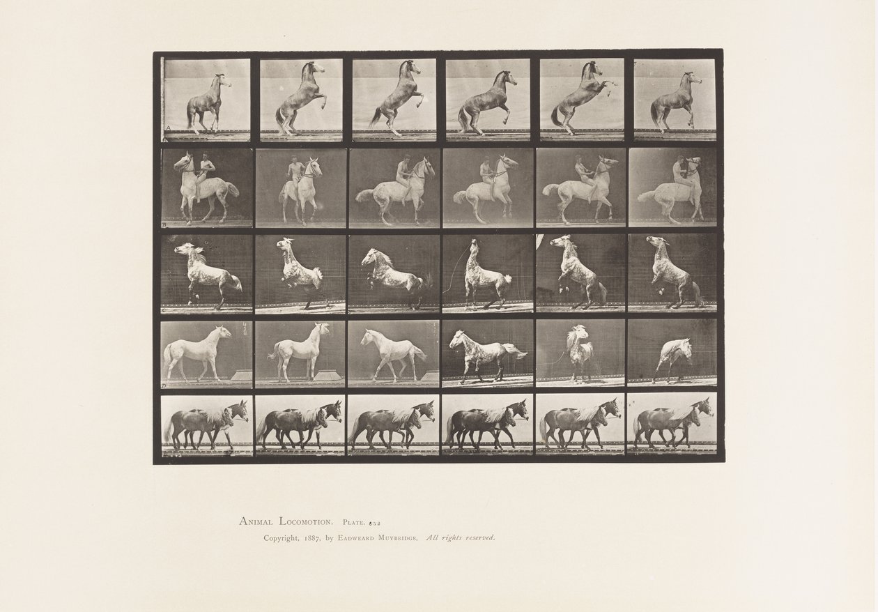 Plaka 652. A, B, C, D, E, At Yetiştiriciliği vb. by Eadweard Muybridge