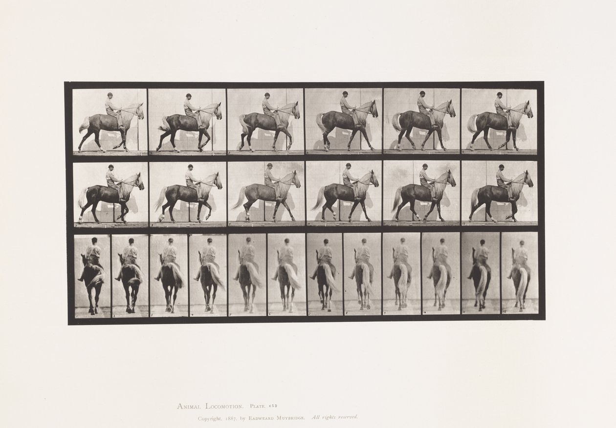 Plaka 653. Yürüyüş; Sele; Topal, Sağ Ön Ayak; At Derisi by Eadweard Muybridge