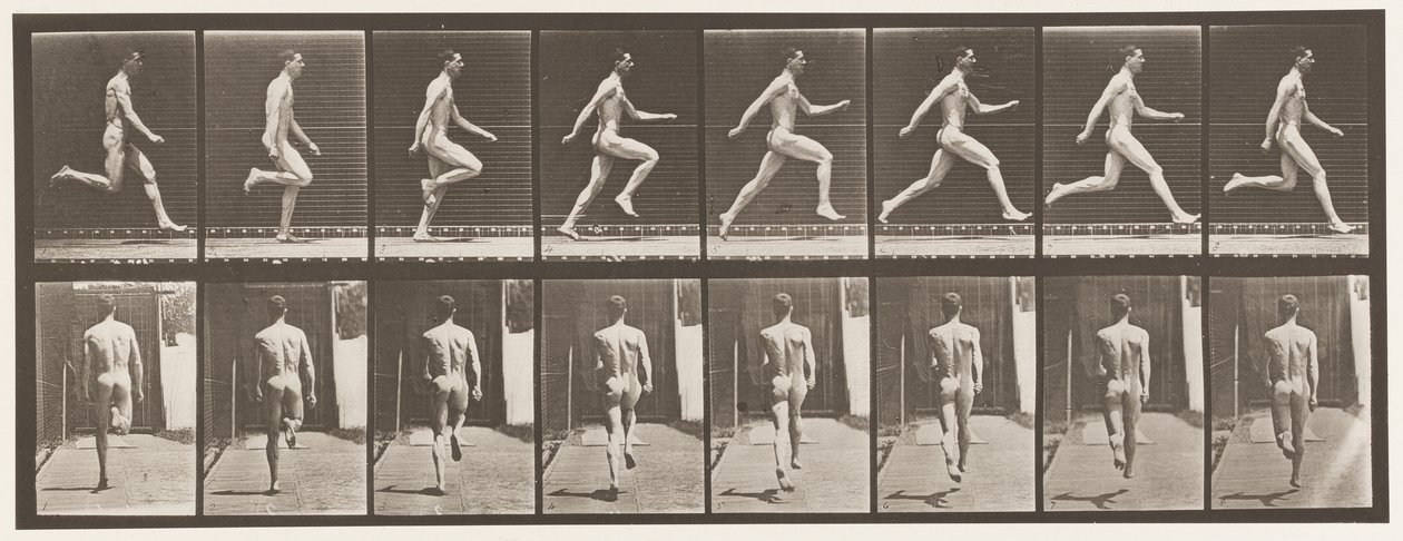 Plaka 65. Tam Hızda Koşmak., 1872-1885 by Eadweard Muybridge