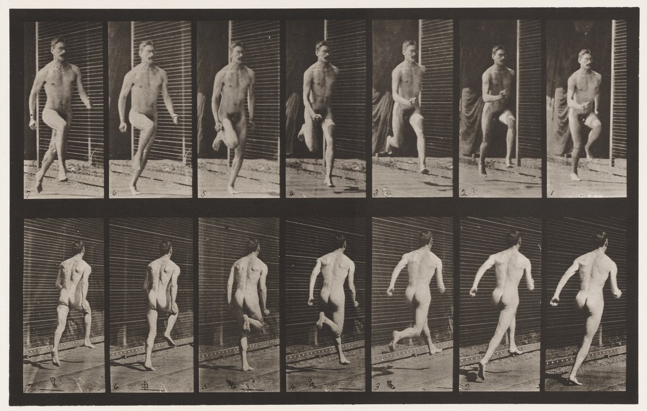 Plaka 66. Koşu by Eadweard Muybridge