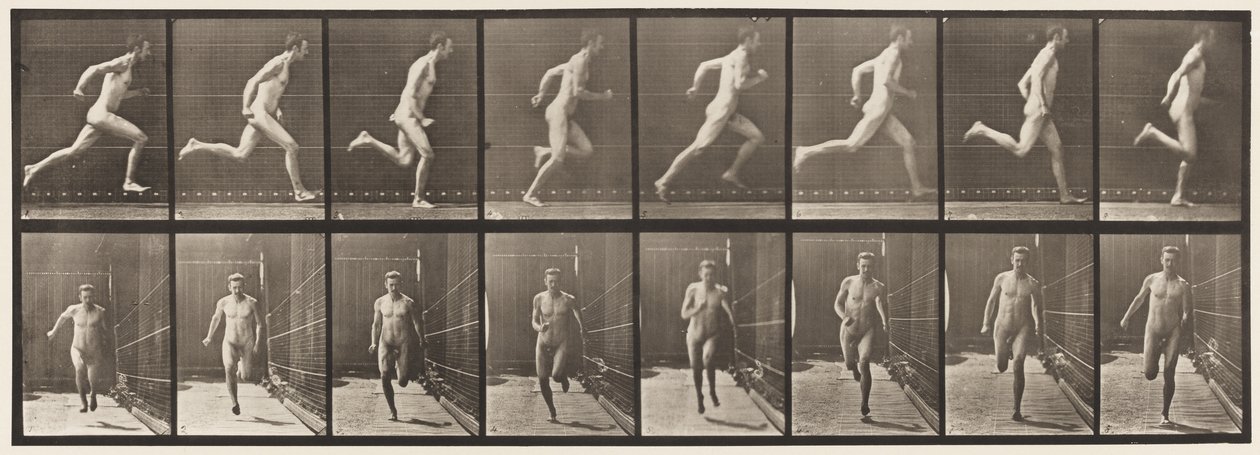 Plaka 67. Koşu, 1872-1885 by Eadweard Muybridge