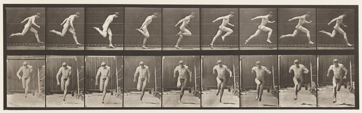Plaka 68. Koşu, 1872-1885 by Eadweard Muybridge