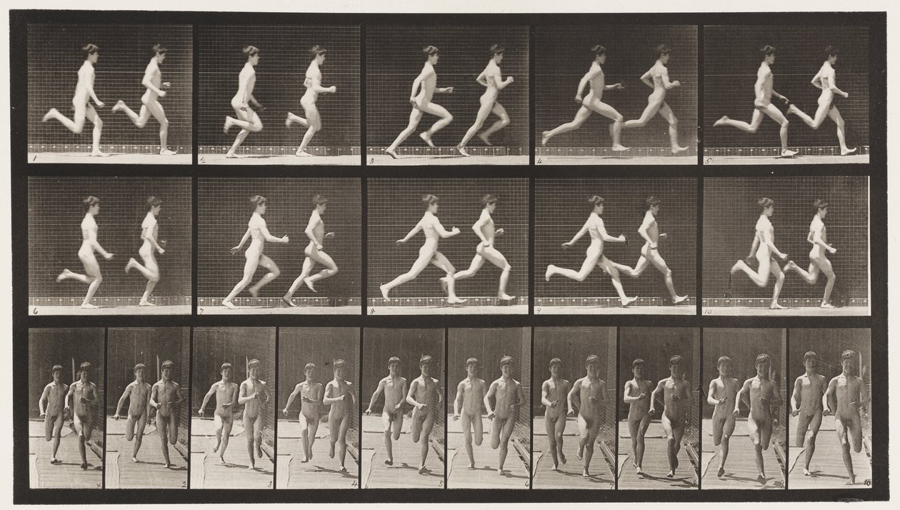 Plaka 69. İki Model Çalıştırma, 1872-1885 by Eadweard Muybridge