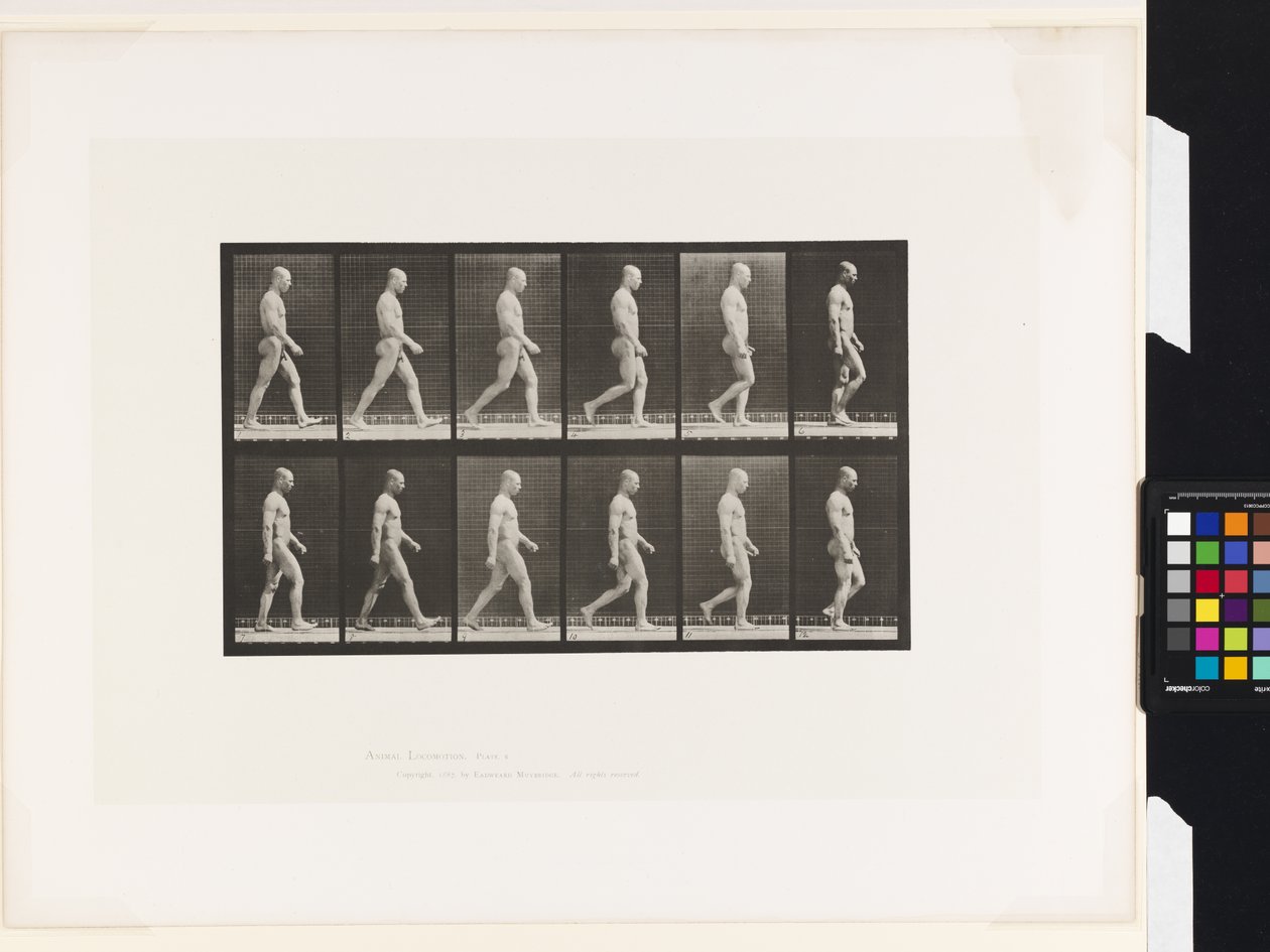 Plaka 6.Yürüyüş by Eadweard Muybridge