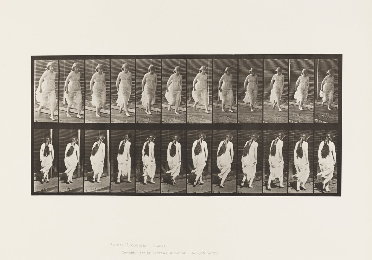 Plaka 71.Çalışıyor, 1885 by Eadweard Muybridge
