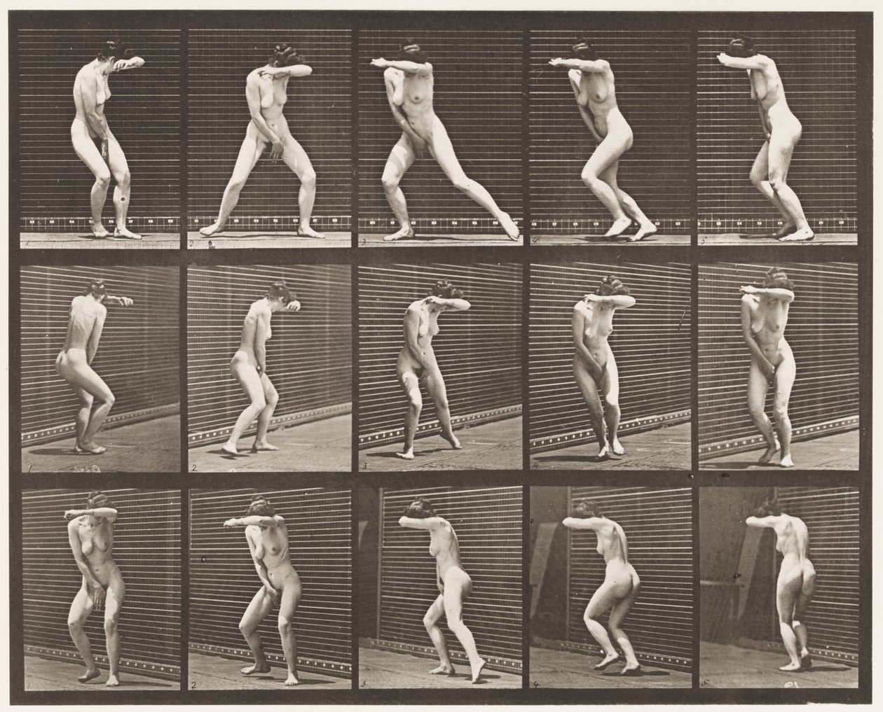 Plaka 73. Sürpriz İçinde Dönüp Kaçış, 1872-1885 by Eadweard Muybridge