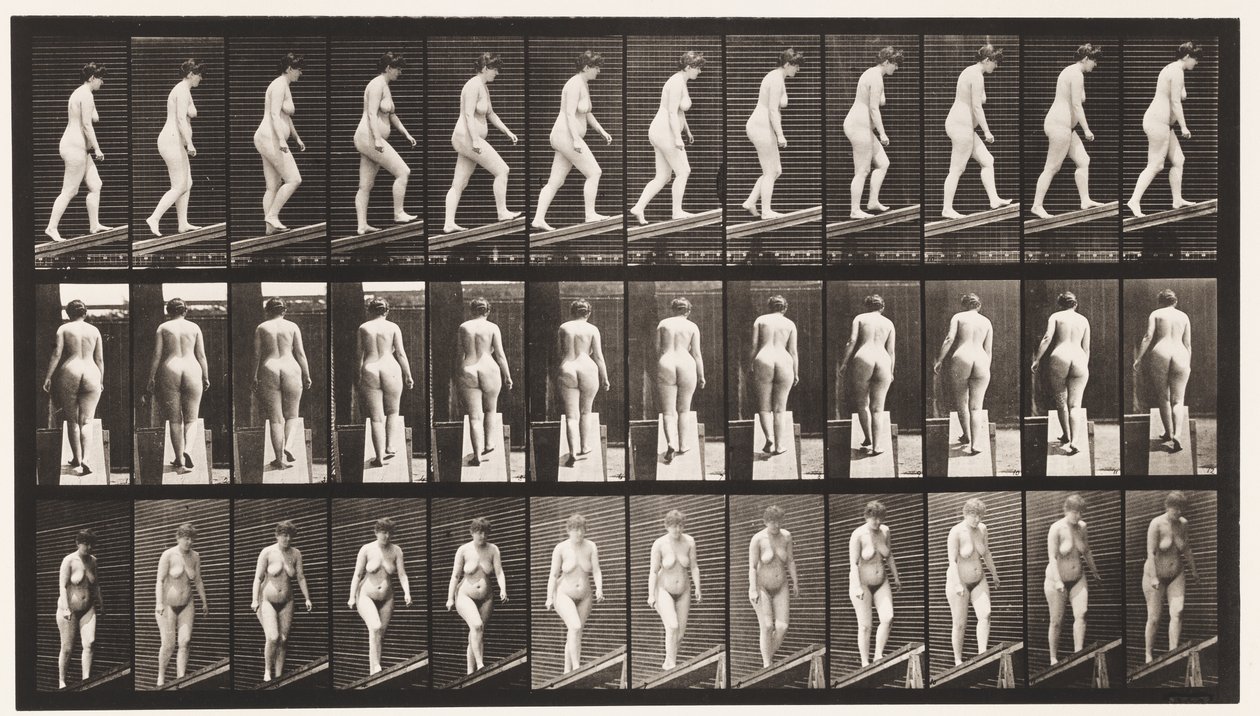 Plaka 77. Artan Eğim by Eadweard Muybridge