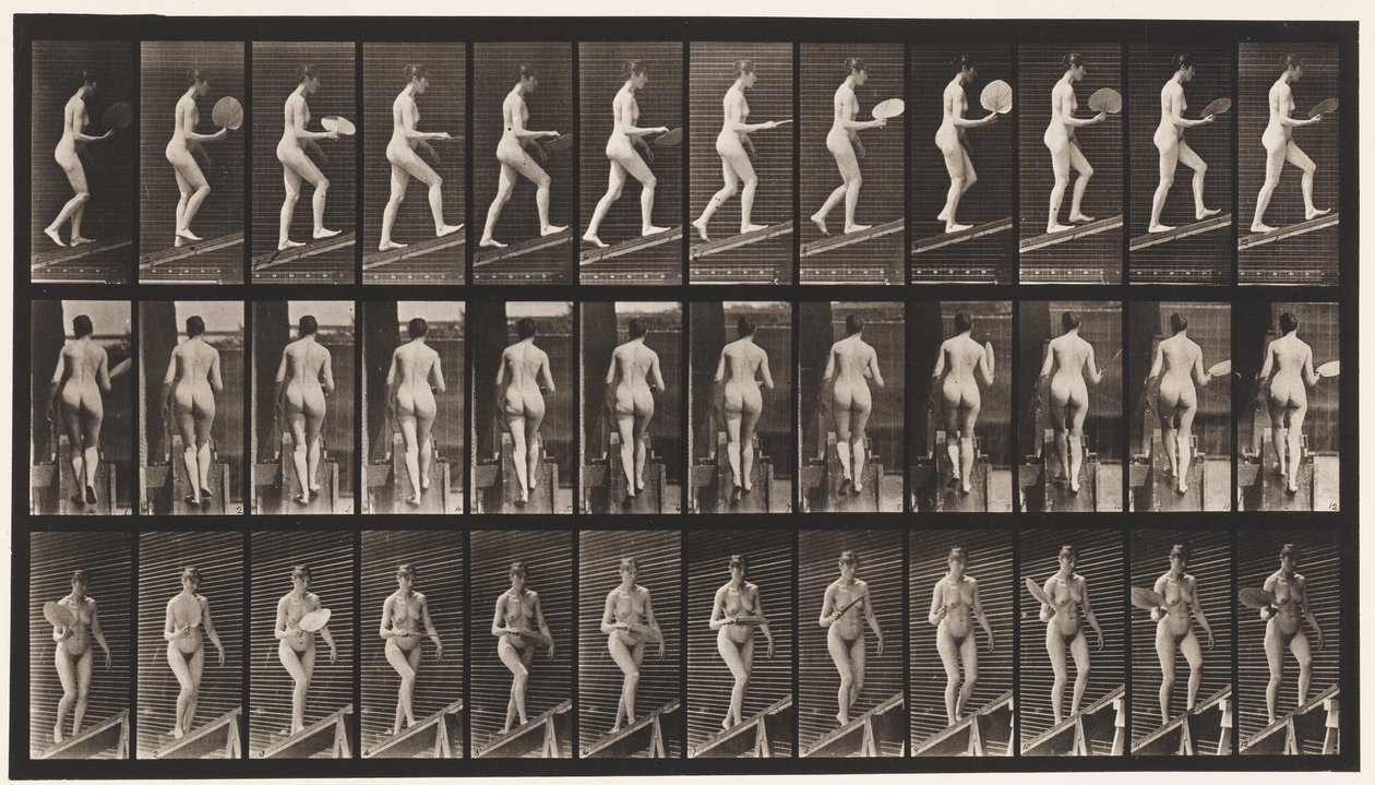 Plaka 78. Yükselen Eğim, Bir Yelpazeyle Flört Etmek, 1872-1885 by Eadweard Muybridge