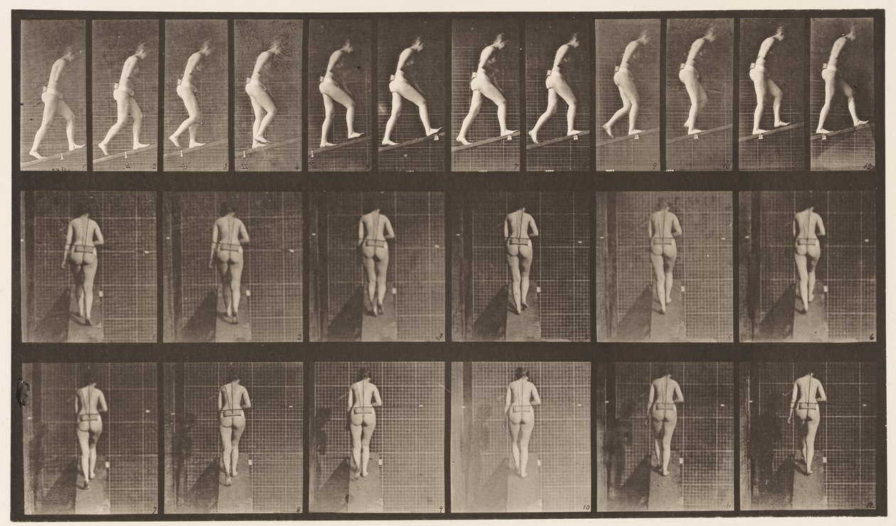 Plaka 79. Artan Eğim by Eadweard Muybridge